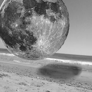 Meet your Posher, Whitney